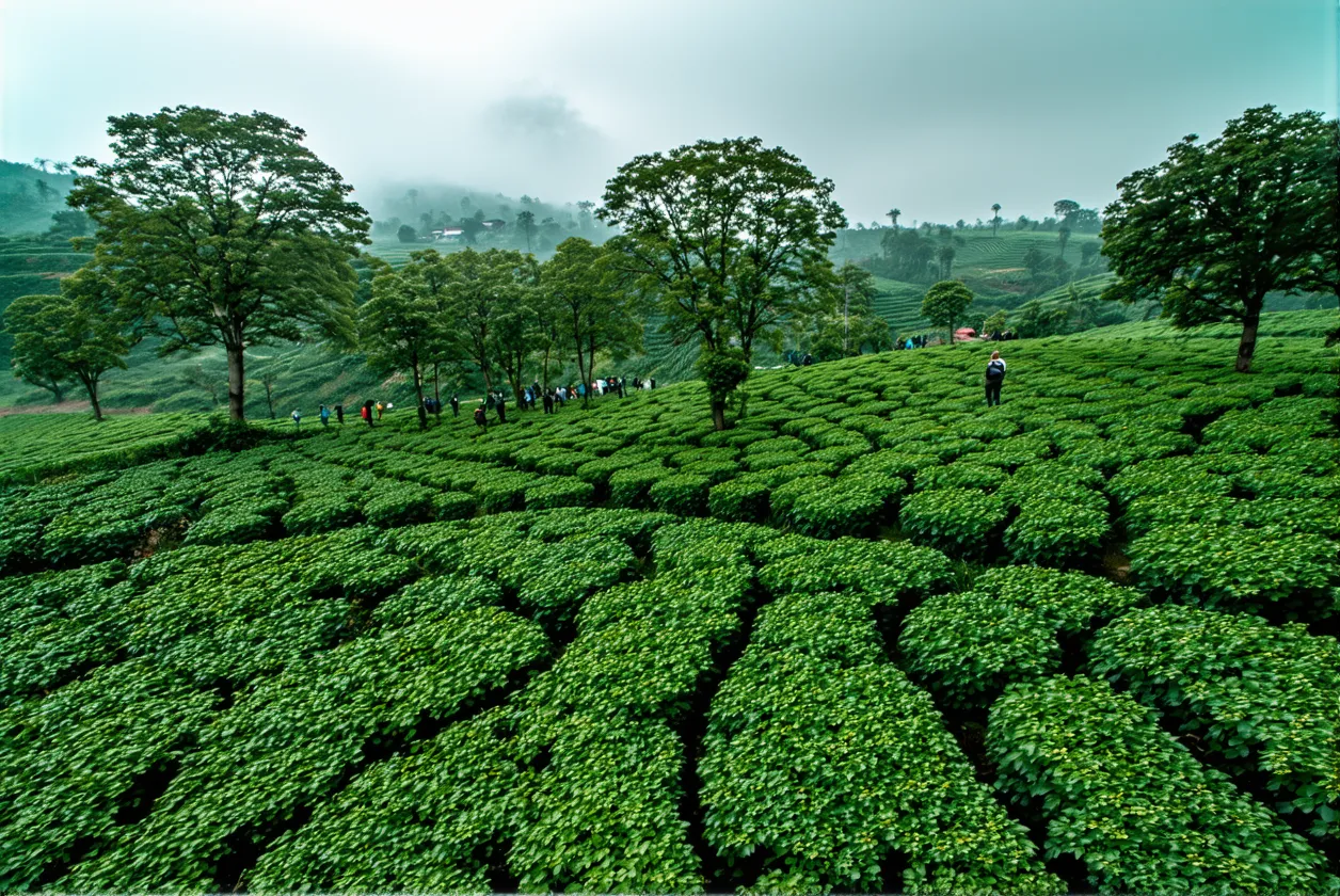 Les erreurs que tout le monde fait en croyant être éco-responsable