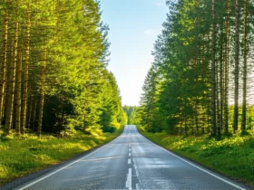 Road trip responsable : itinéraire et gestes durables