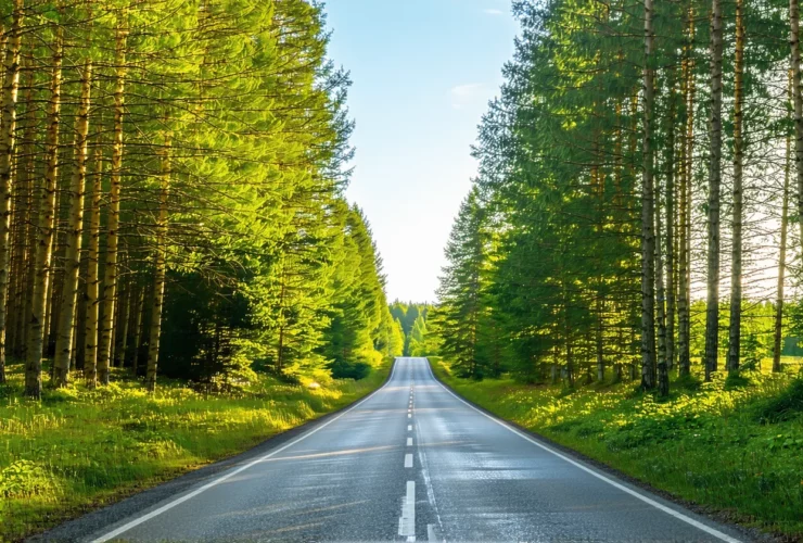 Road trip responsable : itinéraire et gestes durables