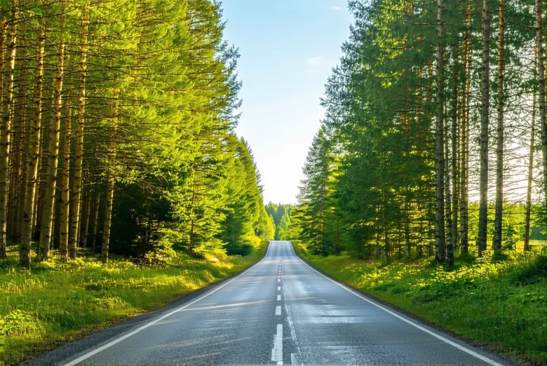 Road trip responsable : itinéraire et gestes durables