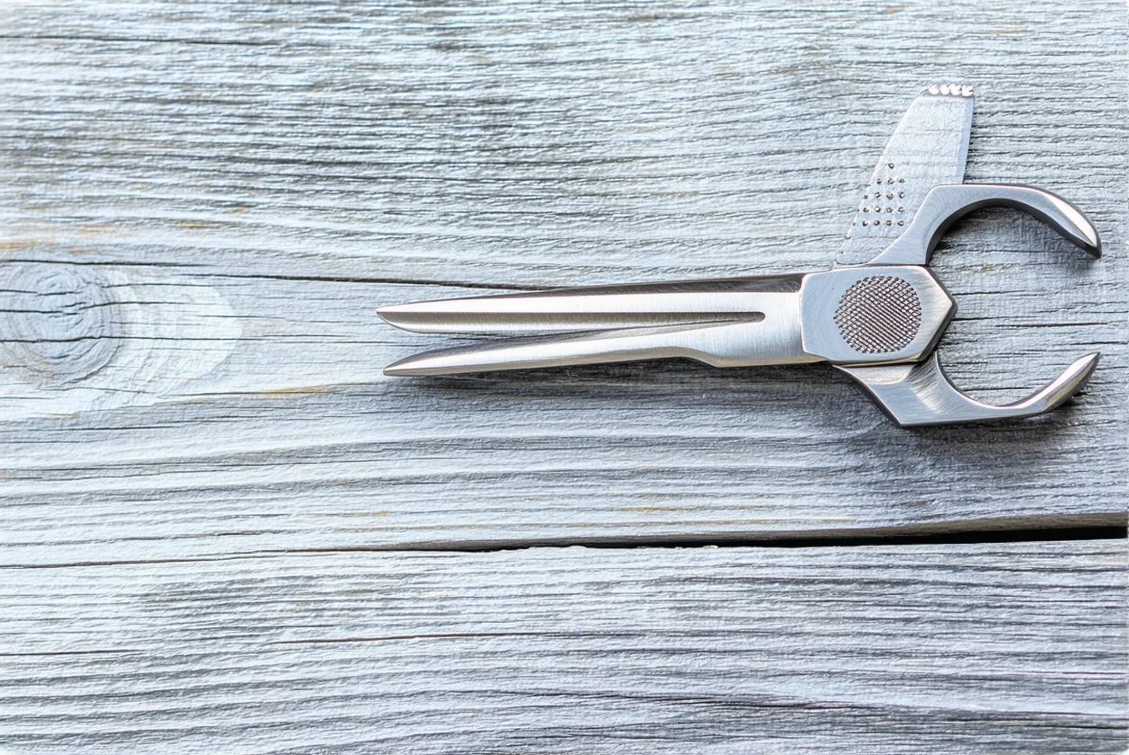 Pourquoi acheter local réduit bien plus que votre empreinte carbone ?