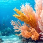 Pourquoi les fibres synthétiques polluent nos océans ?