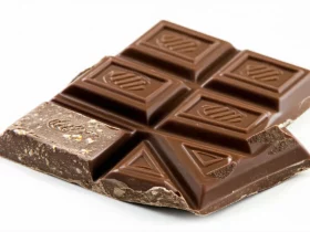 Alter Eco vs Ethiquable : quel chocolat bio choisir ?