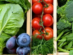 Bio pas cher : 1 panier type à 30€ la semaine pour 4 personnes pour la rentrée