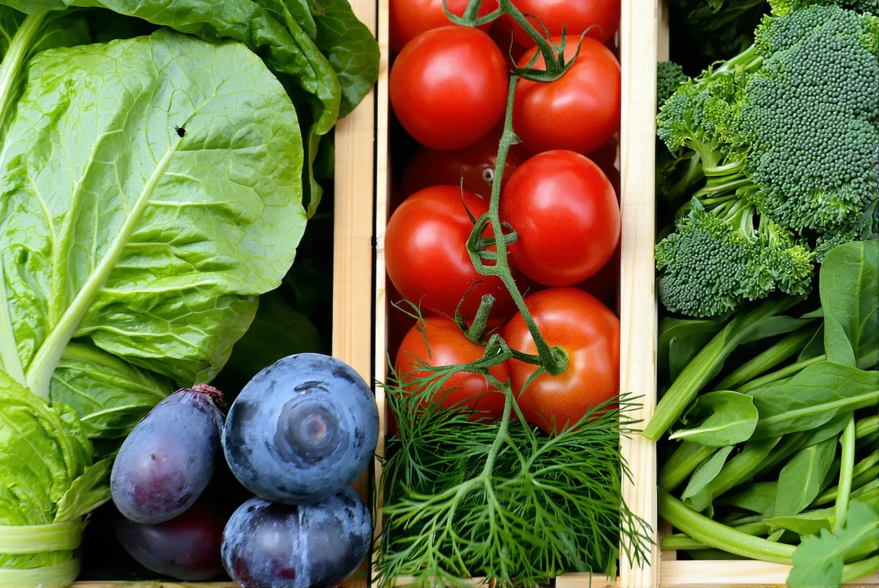 Bio pas cher : 1 panier type à 30€ la semaine pour 4 personnes pour la rentrée