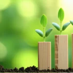 Bio pas cher : 12 astuces pour réduire la facture
