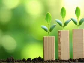 Bio pas cher : 12 astuces pour réduire la facture