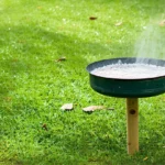 Cendres au jardin : usages malins et sans danger