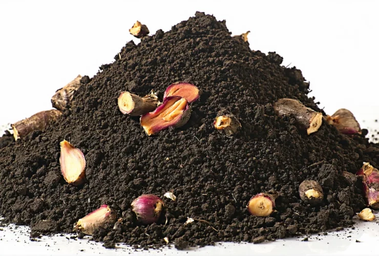Compost en appartement : méthodes propres et sans odeur