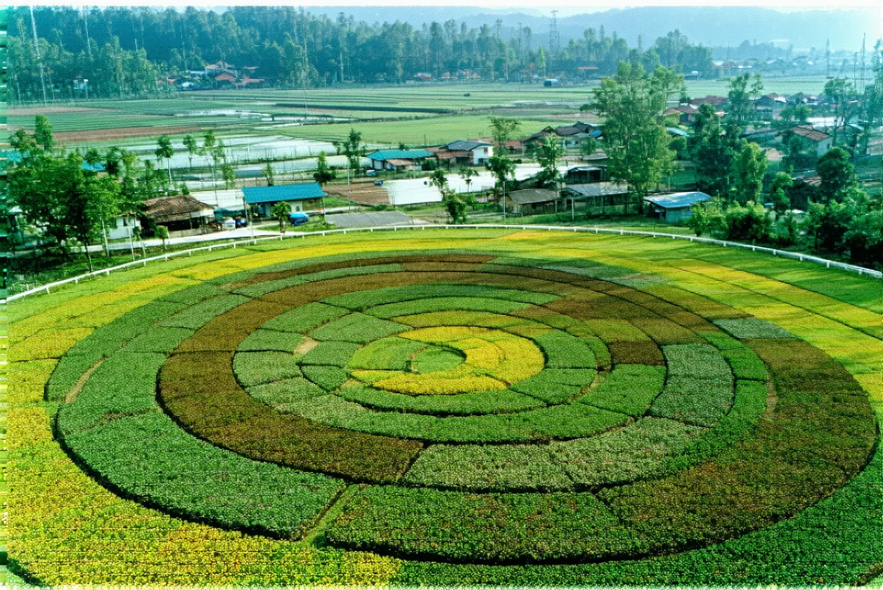 Économie circulaire : 5 success stories locales