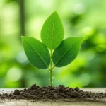 Empreinte carbone : 10 actions réalistes à commencer dès demain !