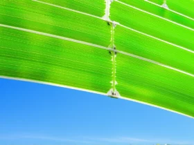 Énergie verte : cette innovation française pourrait tout changer en 2026