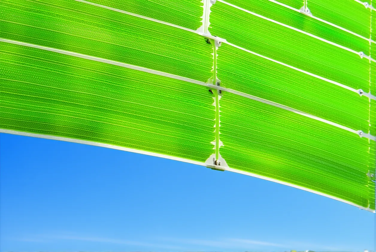 Énergie verte : cette innovation française pourrait tout changer en 2026