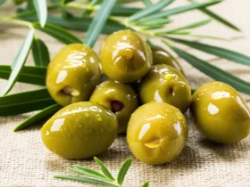 Engrais naturel pour olivier : recettes et conseils