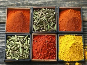 Épices bio françaises : où les trouver, comment les utiliser