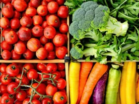 Fruits et légumes de saison septembre 2025 : le choix malin pour réduire son empreinte carbone