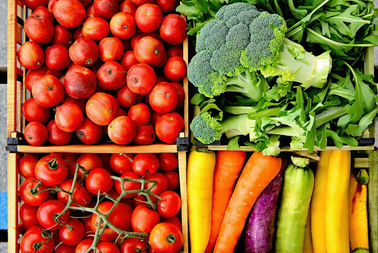 Fruits et légumes de saison septembre 2025 : le choix malin pour réduire son empreinte carbone