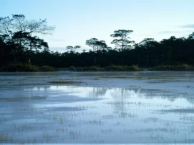Isolation naturelle : bien préparer la rentrée énergétique