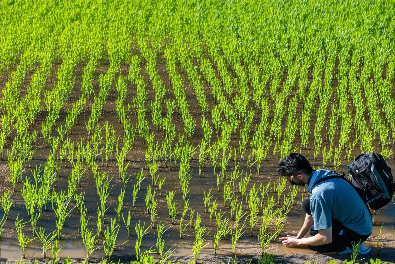 Natessance : focus sur les ingrédients à surveiller