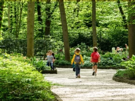 Parcs et jardins bio à explorer en France