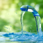 Réduire sa conso d’eau en été : 7 gestes efficaces et simples