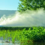 Résilience climatique : s’équiper sans surconsommer