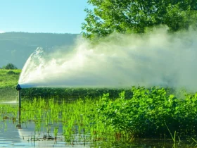 Résilience climatique : s’équiper sans surconsommer