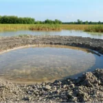 Terre de diatomée : un allié écologique contre les nuisibles