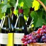 Foire aux vins bio : comment dénicher les pépites sans exploser son budget ?