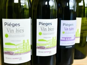 Le guide pratique pour comprendre les étiquettes des vins bio (et éviter les pièges)