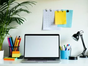Réduire le plastique au bureau : solutions toutes simples