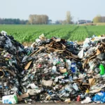 Tri des déchets : les 10 erreurs fréquentes à éviter, pour de bon