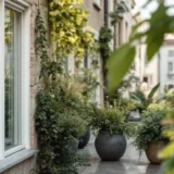 Jardins et toits verts : comment la biodiversité reprend la ville