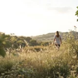 Zéro artificialisation nette : comment protéger nos terres