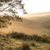 Gîtes éco-labellisés en Bretagne : nos coups de cœur pour l&rsquo;été