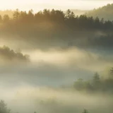 Week-end détox aux Vosges : randonnée et bien-être vert